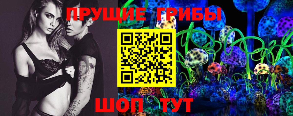 Псилоцибиновые грибы GOLDEN TEACHER Тавда