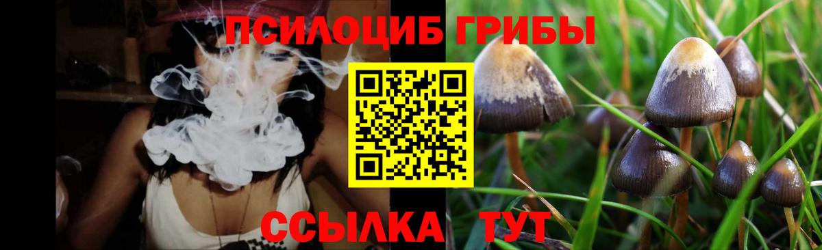 Псилоцибиновые грибы Cubensis  Вход с VPN  Тавда  купить закладку  Псилоцибиновые грибы прущие грибы 